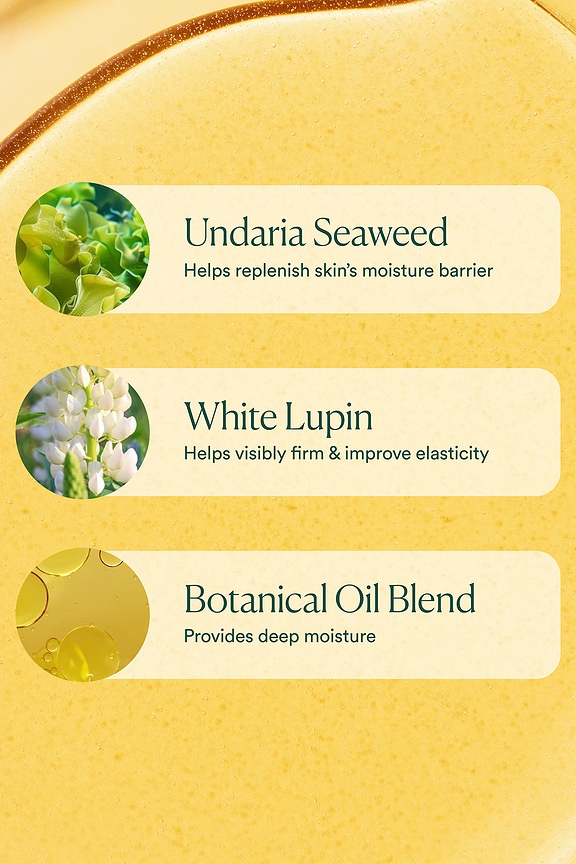 OSEA UNDARIA ALGAE ボディオイル | REVOLVE