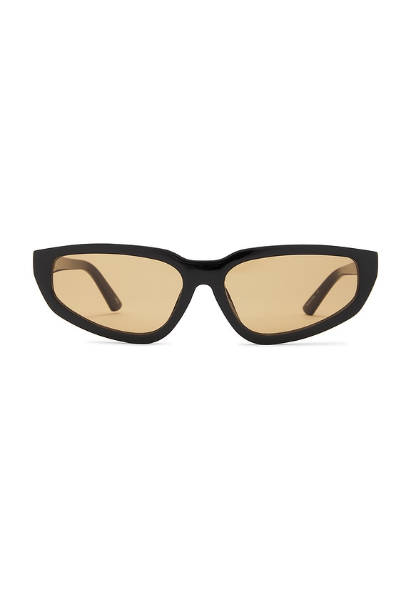 view 1 of 3 Nikki Sunglasses in Black & Brown