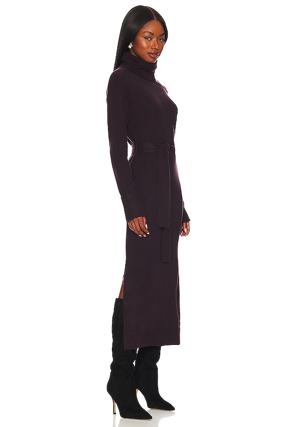 view 2 of 4 Raundi Dress in Black Cherry