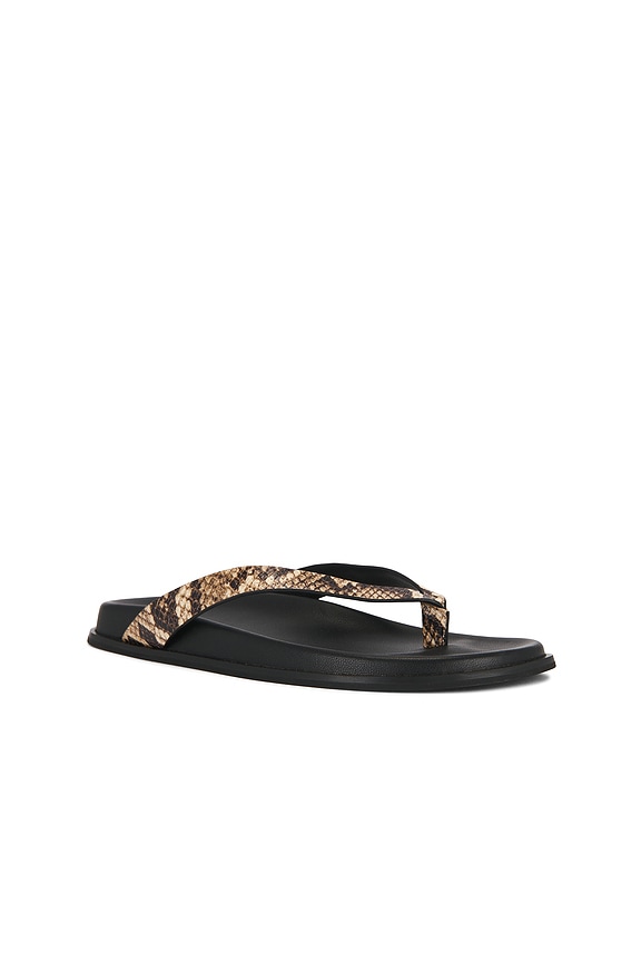 view 2 of 5 Zadie Sandal in Tan