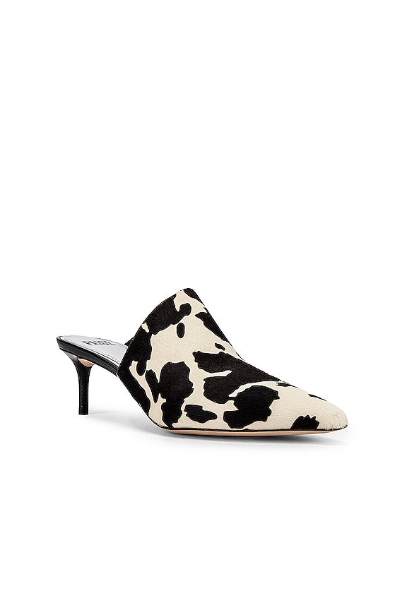 view 2 of 5 Epic Mule in Cow