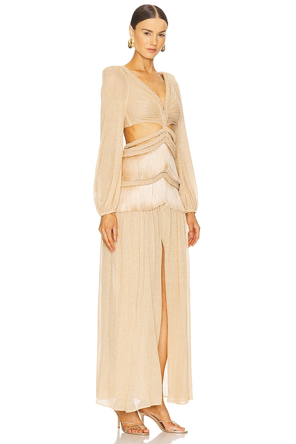 view 2 of 6 Metallic Fringe Long Dress in Beige