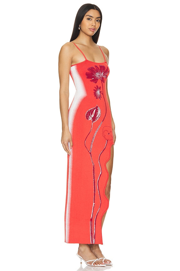 view 2 of 4 Iris Flower Print Maxi Tank Dress in Red Tulip