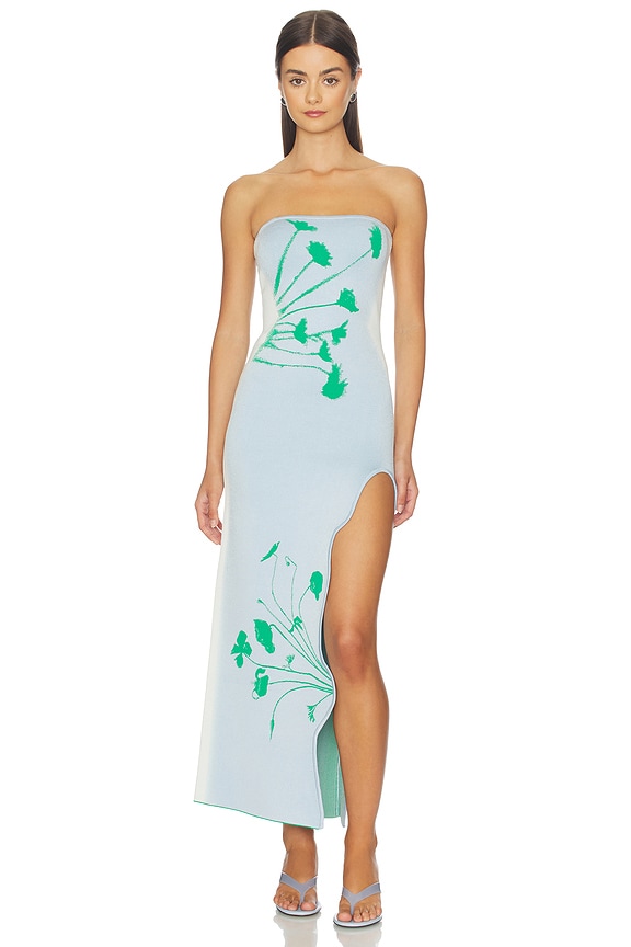view 1 of 5 Iris Flower Print Maxi Tank Dress in Aqua Green
