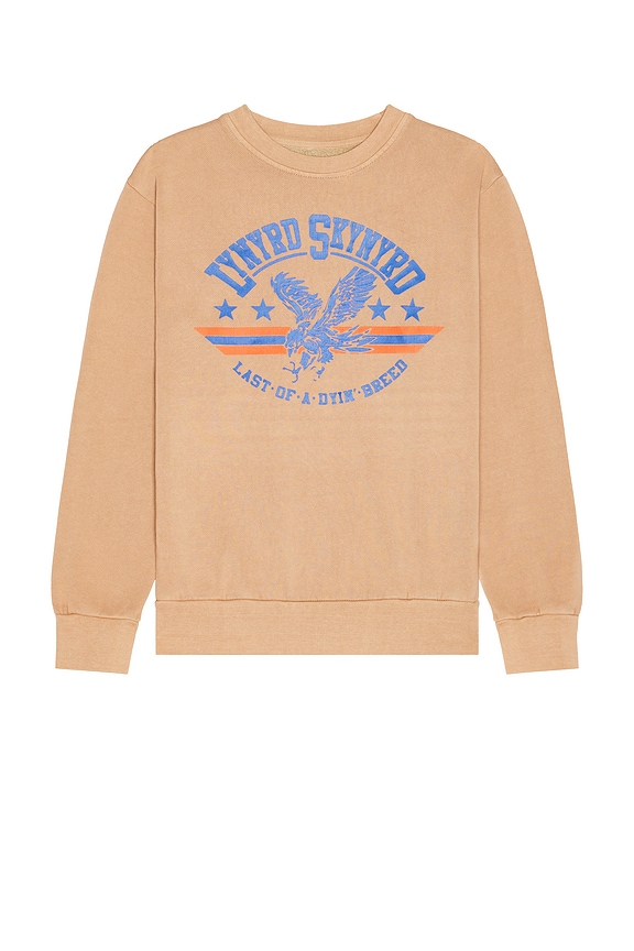 view 1 of 4 SWEAT LYNYRD SKYNYRD in Sand