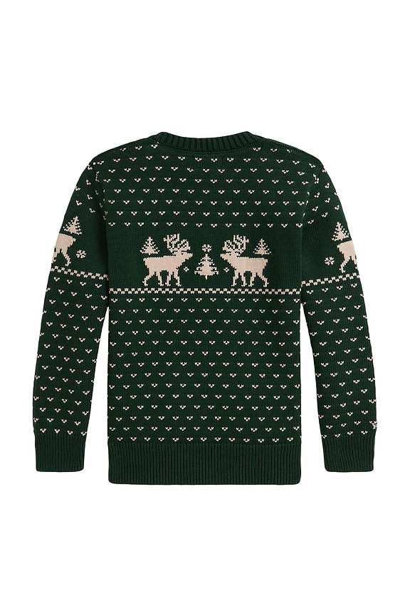 view 2 of 2 Long Sleeve Intarsia Reindeer Sweater Coverall in Green Combo