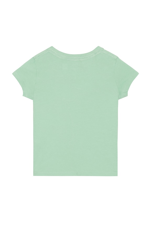 view 2 of 2 Short Sleeve Jersey Knit Berry Garden Dog Graphic T-shirt in Celadon