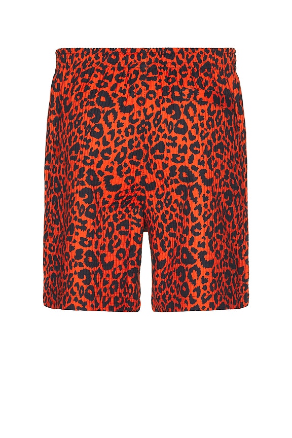 view 2 of 6 LEOPARD 액티브 쇼츠 in Red