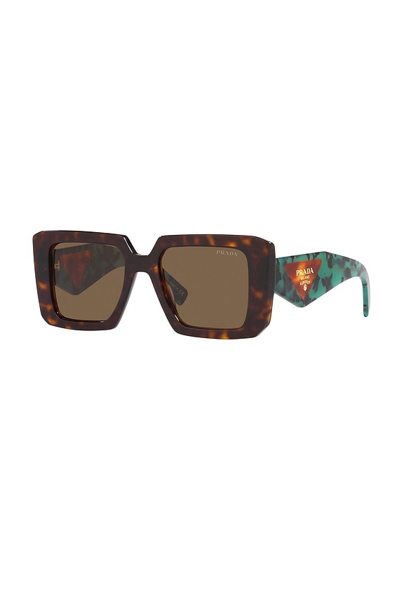 view 2 of 3 サングラス in Tortoise