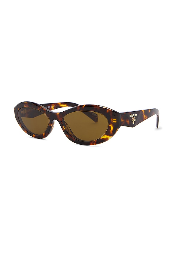 view 2 of 3 サングラス in Honey Tortoise