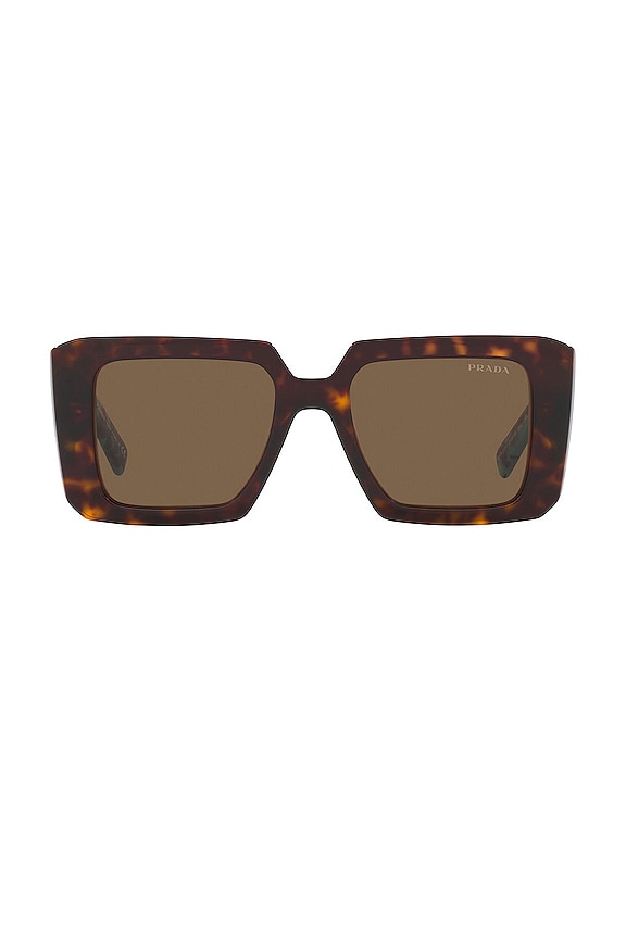 view 1 of 3 Square Sunglasses in Havana