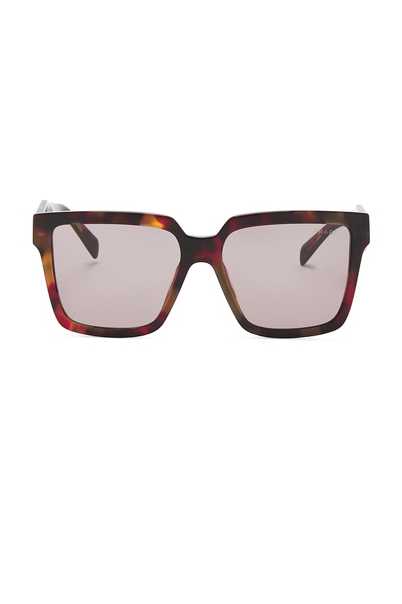 view 1 of 3 СОЛНЦЕЗАЩИТНЫЕ ОЧКИ in Poppy Tortoise