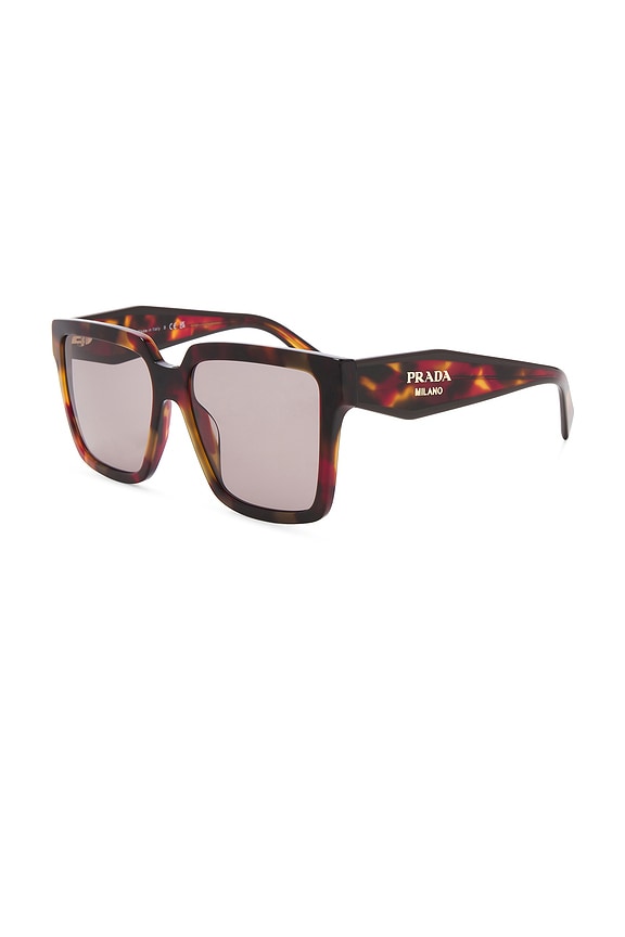 view 2 of 3 СОЛНЦЕЗАЩИТНЫЕ ОЧКИ in Poppy Tortoise