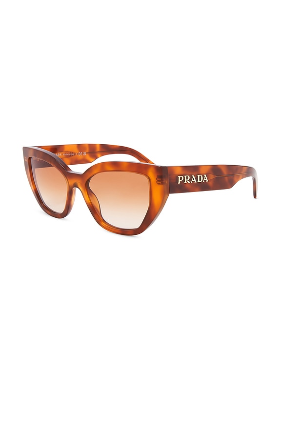 view 2 of 3 СОЛНЦЕЗАЩИТНЫЕ ОЧКИ in Cognac Tortoise