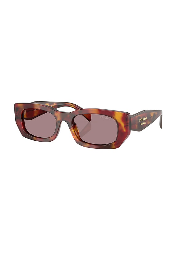 view 2 of 3 СОЛНЦЕЗАЩИТНЫЕ ОЧКИ in Poppy Tortoise