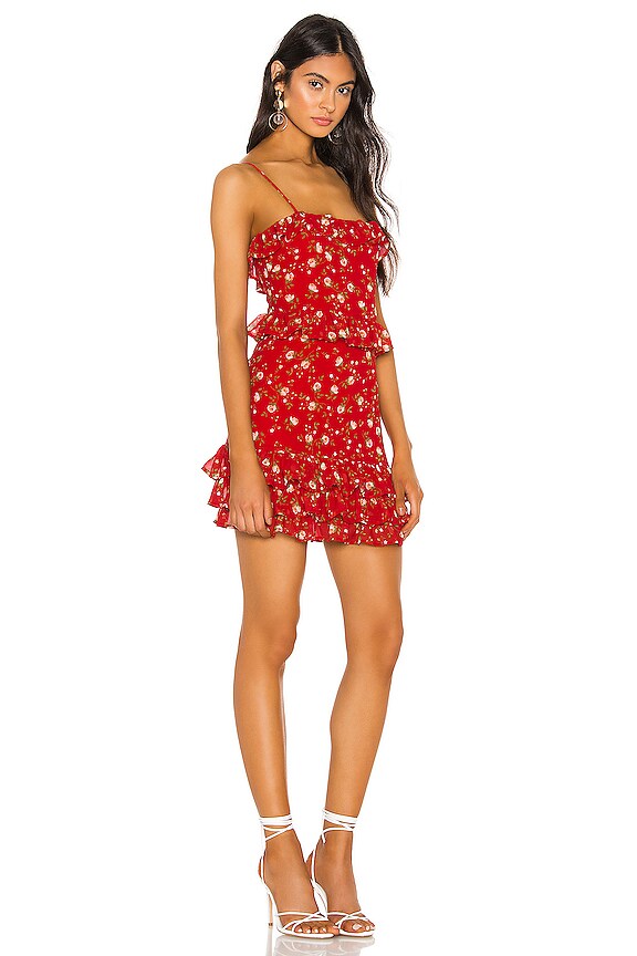 view 2 of 3 Dakota Mini Dress in Red Emma Floral