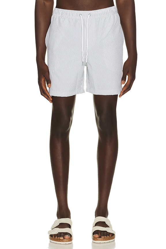 view 1 of 5 La Brea Swim Trunks in Sage White