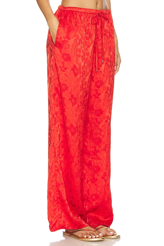 view 2 of 6 PANTALON MILES in Scarlet Meadow