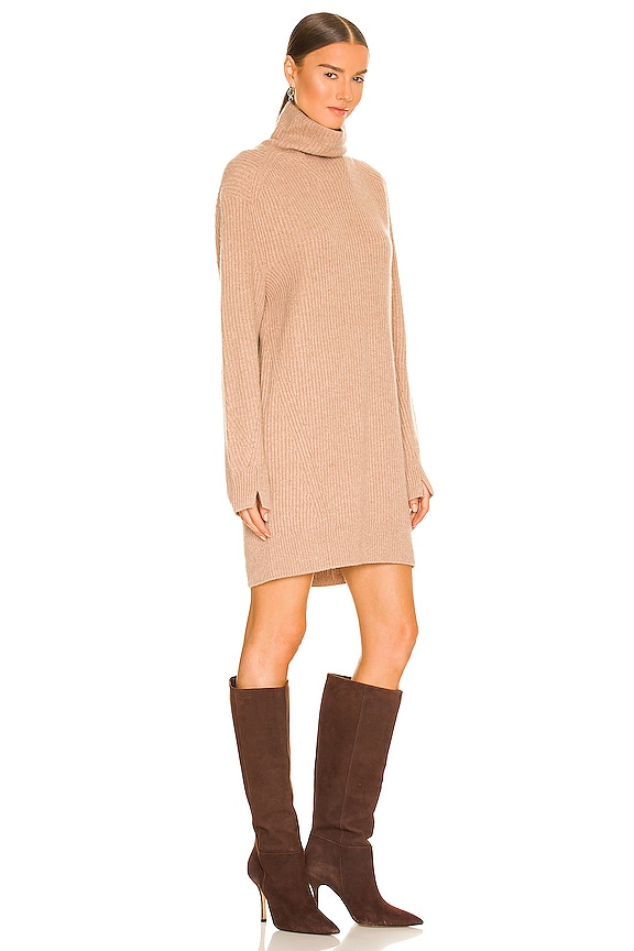 view 2 of 4 Pierce Cashmere Turtleneck Dress in Camel