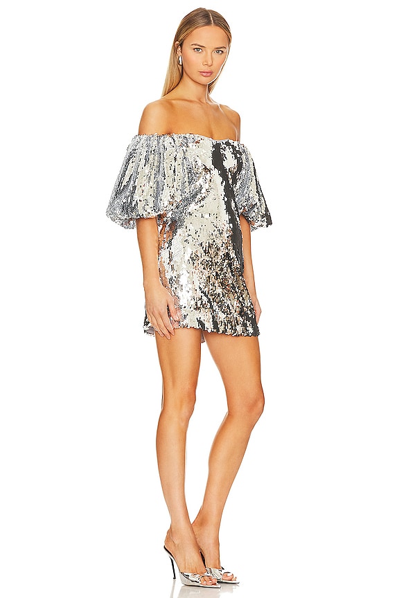 view 2 of 4 Dali Dress in Silver