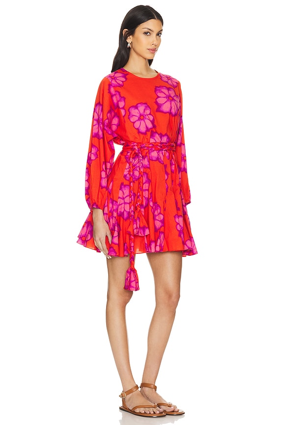 view 2 of 3 Ella Dress in Scarlet Bombay Bloom