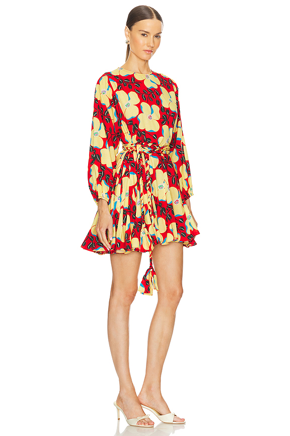 view 2 of 3 ROBE ELLA in Scarlet Martinique Mini