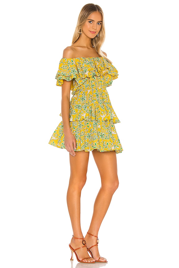 view 2 of 3 Dotty Dress in Yellow Eden