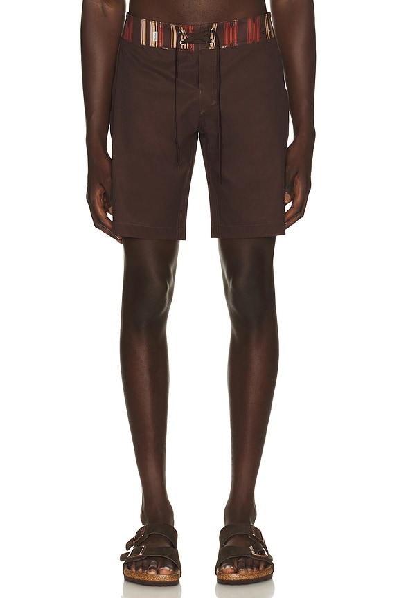 view 1 of 5 Propagate Trunk in Earth