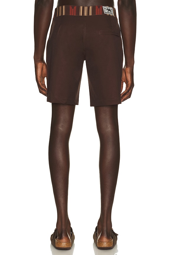 view 2 of 5 Propagate Trunk in Earth