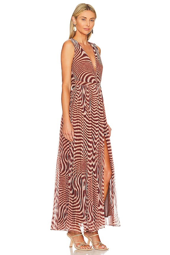 view 2 of 4 Maxi Dress in Brown Zebra Print