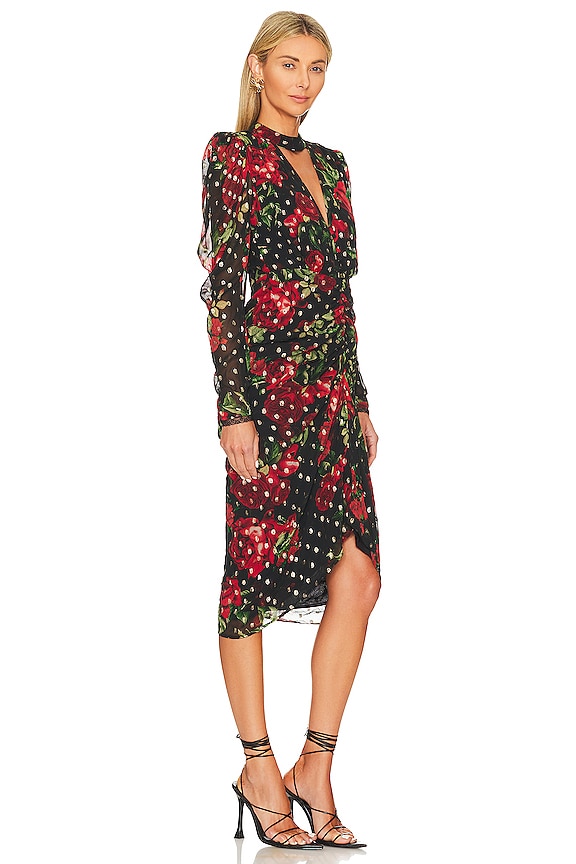 view 2 of 4 Midi Dress in Black & Red Roses