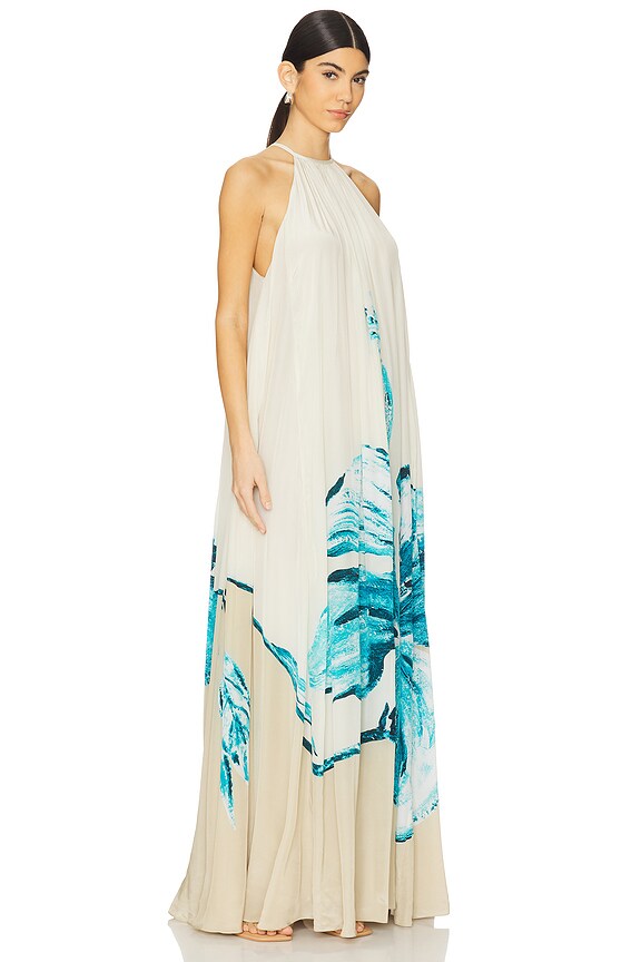 view 2 of 3 Flared Maxi Dress in Beige Blue