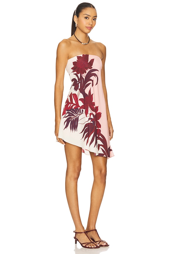 view 2 of 3 ROBE BUSTIER COURTE in Pink & Burgundy