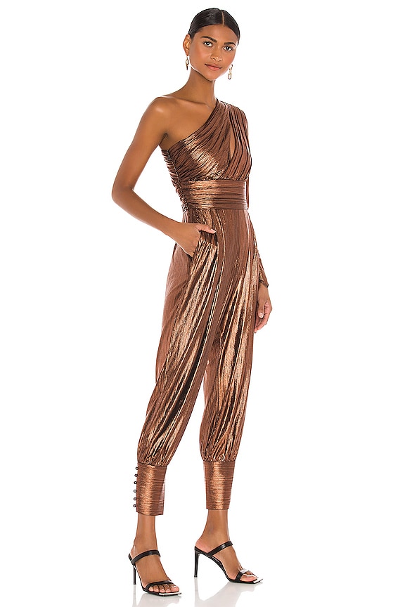 view 2 of 4 Timi Jumpsuit in Coffee