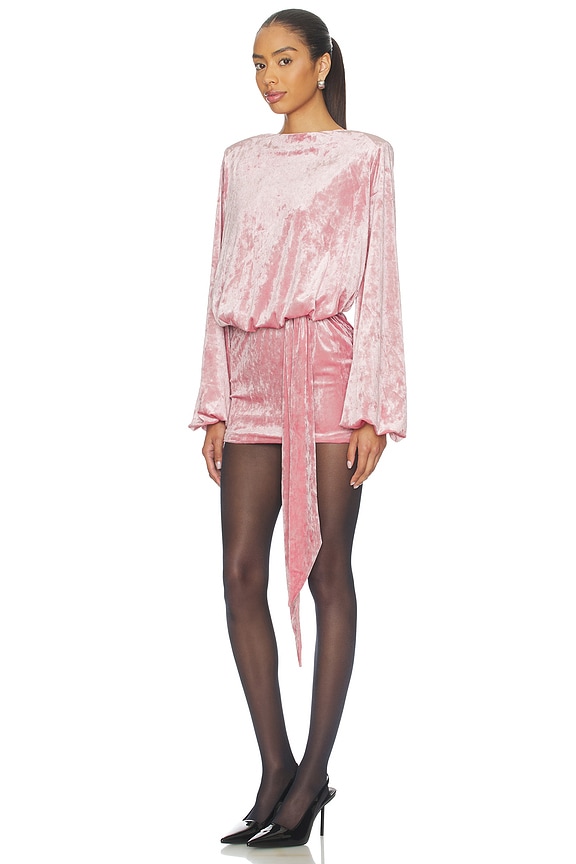 view 2 of 3 Elysia Velvet Dress in Vintage Rose