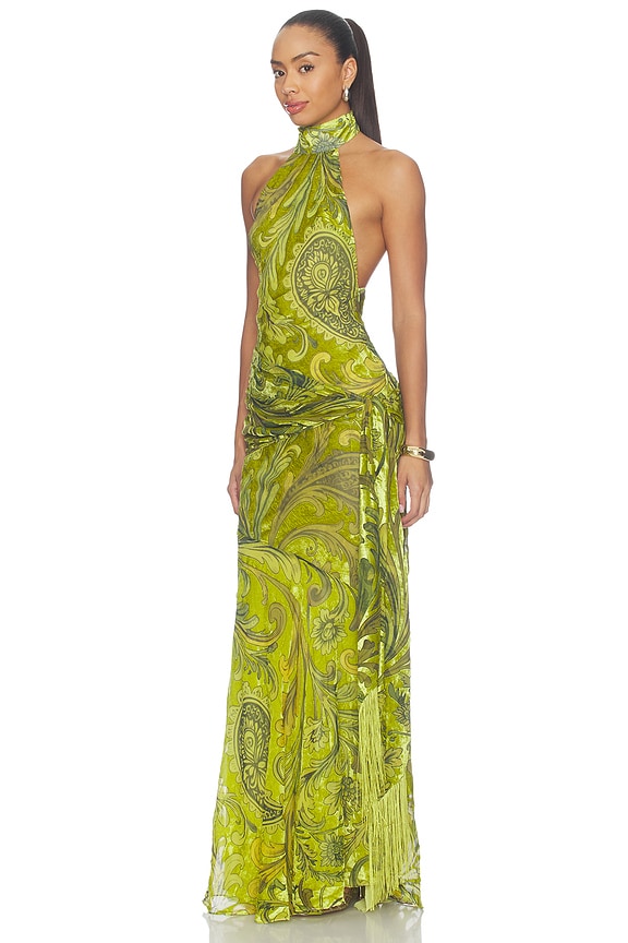Protea Velvet Dress