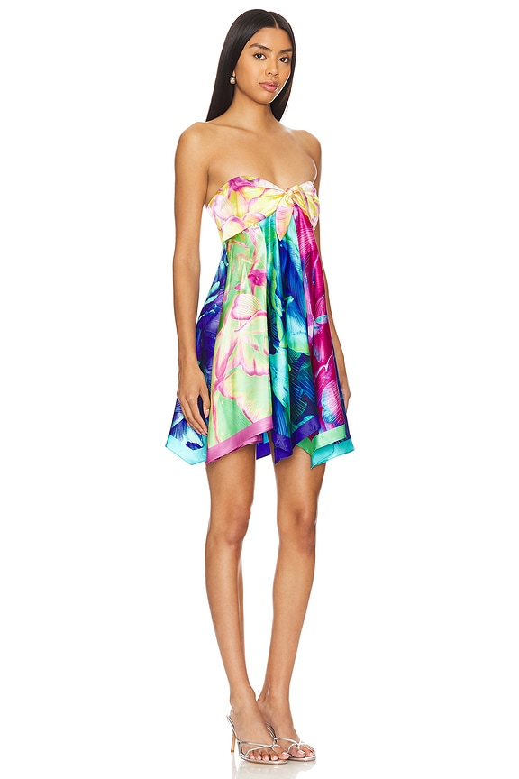 view 2 of 3 SENNA ミニドレス in Mixed Peony