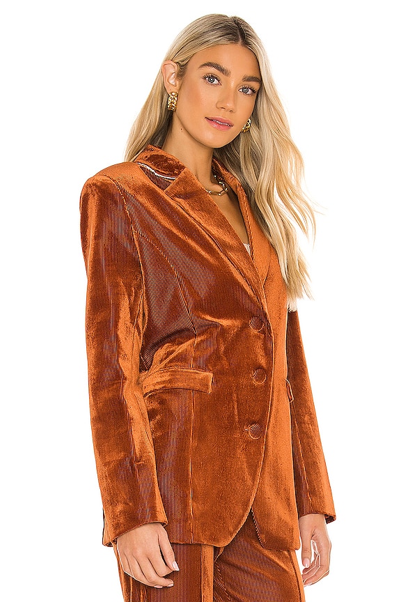 view 2 of 4 Daphne Blazer in Brown