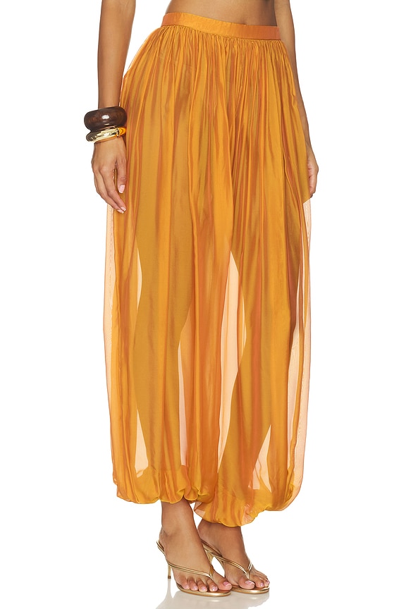 view 2 of 6 Evolet Chiffon Pant in Iridescent Arianzo
