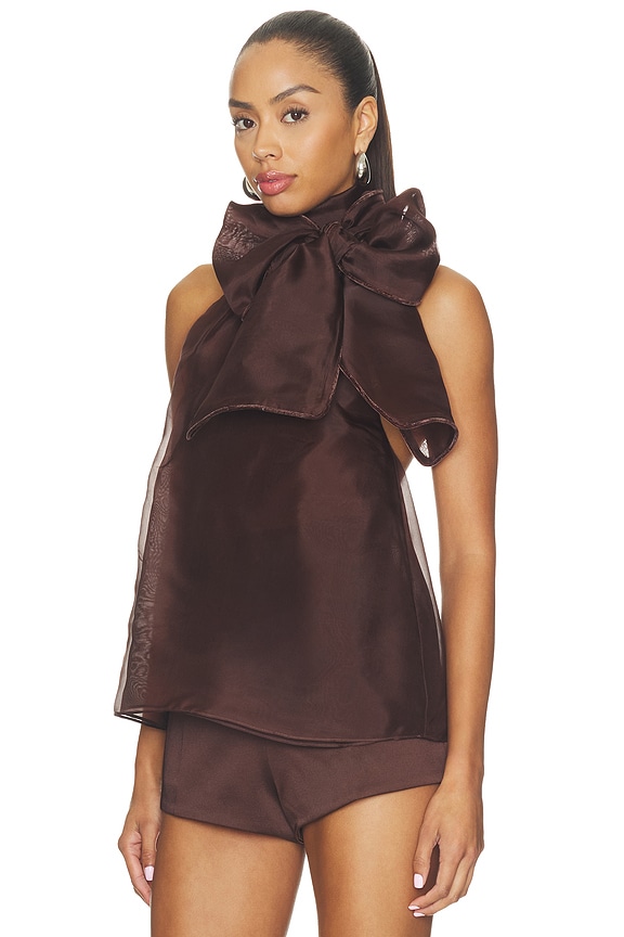 view 2 of 4 Indira Top in Tobacco