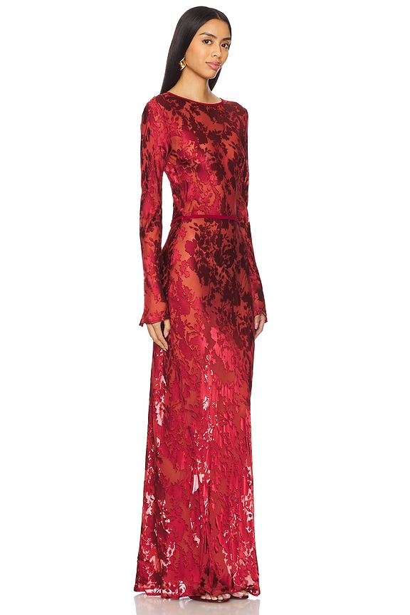 view 2 of 3 Bettina Maxi Dress in Burnout