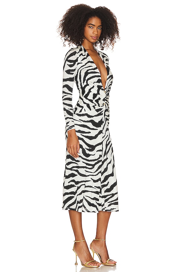 view 2 of 3 Dress in Zebra