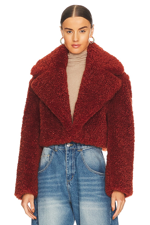 view 2 of 5 Helena Faux Fur Coat in Rust