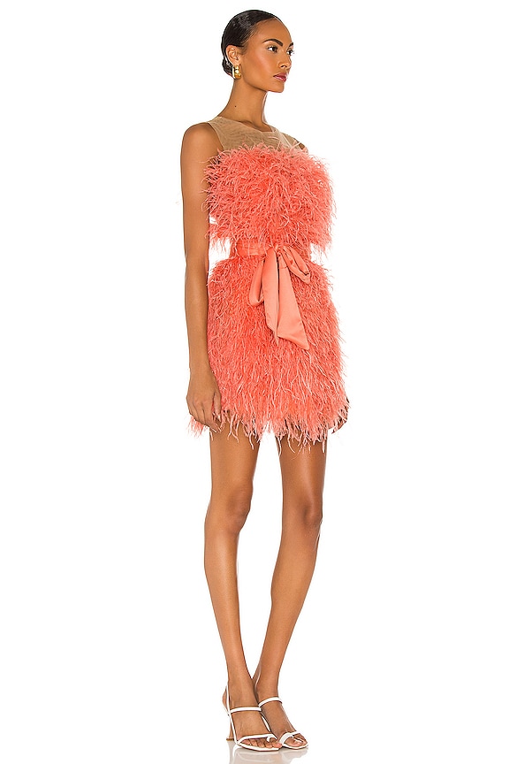 view 2 of 3 Bibi Cocktail Dress in Persimmon