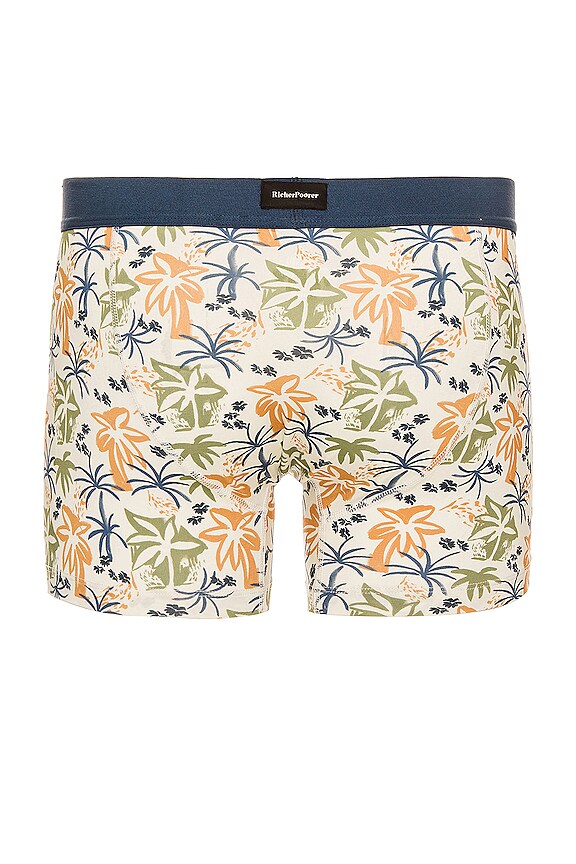 view 2 of 2 BOXER in Bone