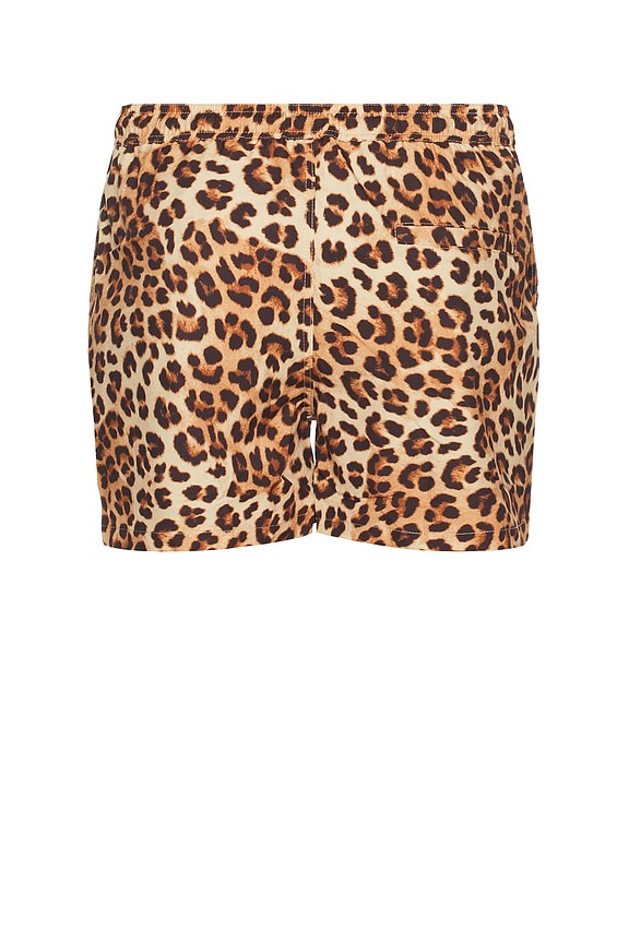 view 2 of 5 Amalfi Boardshort in Leopard in Arlo