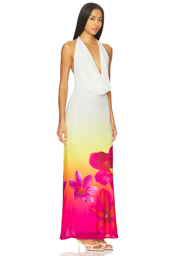 view 2 of 3 Jasmina Maxi Dress in Tropical Ombre