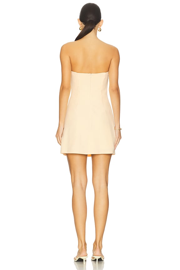 Cairo Strapless Mini Dress