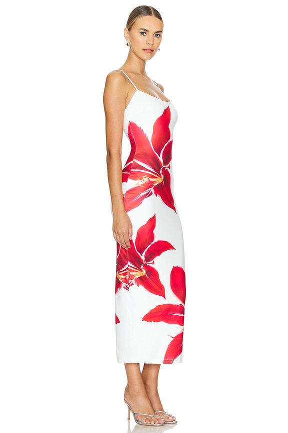 view 2 of 3 Deia Midi Dress in Crimson Lily