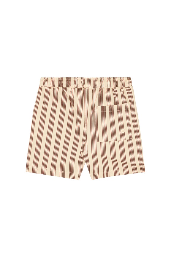 view 2 of 4 Boardshort in Brown Butterscotch Stripe